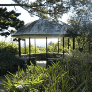 Glorieta de madera en medio del bosque frondoso, un espacio ideal para la meditación y el silencio en la naturaleza.