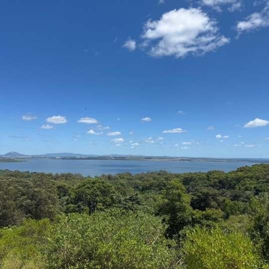 Laguna Garzón - Naturaleza y Bienestar - Proyecto Awakenova Vista panorámica de la Laguna Garzón rodeada de bosque nativo, un lugar de meditación y calma en Uruguay.