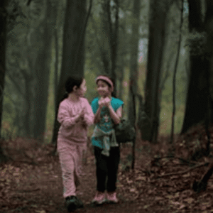 Niños caminando en un bosque con neblina, representando los beneficios terapéuticos de los baños de bosque para el TDAH.