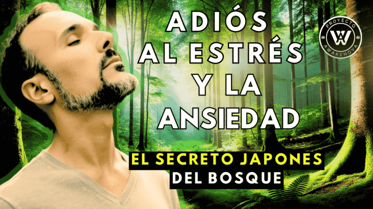 Alejandro Melidoni practicando baños de bosque para reducir estrés y ansiedad - Proyecto Awakenova