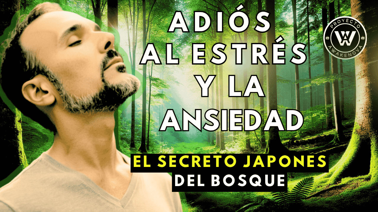 Alejandro Melidoni practicando baños de bosque para reducir estrés y ansiedad - Proyecto Awakenova