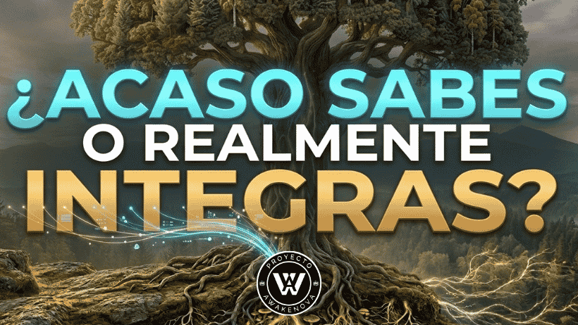 Crecimiento personal real: la diferencia entre saber e integrar, según el Sistema Yogan Luis